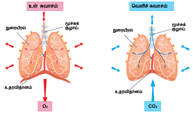 Design - YC IND (14).png