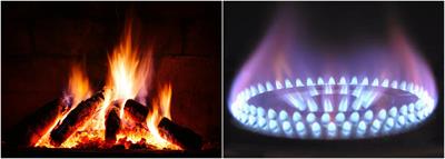 BeFunky-collage (10).jpg