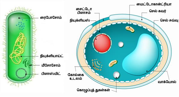 Design - YC IND (3).png