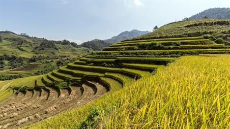 terraced-fields-6125871_960_720.jpg