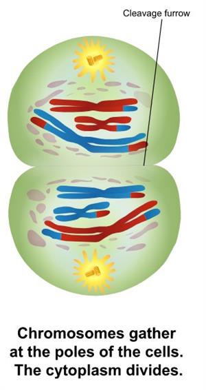 Screenshot 2021-05-18 030810.jpg