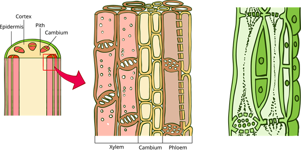 shutterstock_1675096507 (1).png