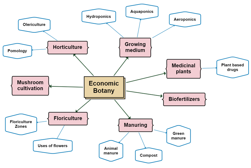 Economic Botany.png