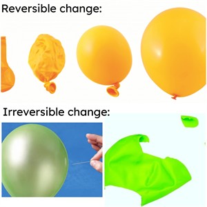 rev and irrev.jpg