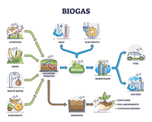biogas-anaerobic-digestion-feedstock-benefits.jpg