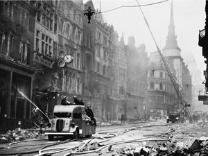 Everett Collection   Shutterstock.com.jpg