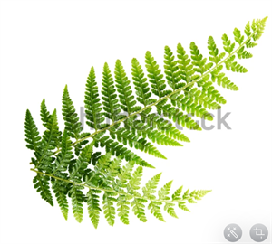 Screenshot 2022-10-30 212941.png