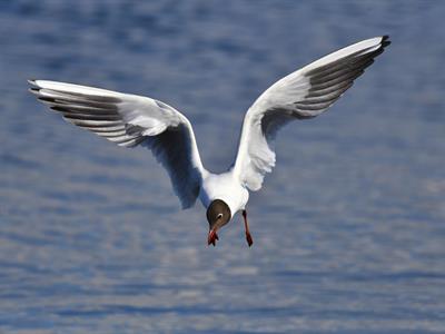 YCIND20220901_4399_Movements in animals_06.jpg