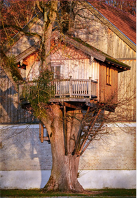 Screenshot 2021-06-17 164739.png