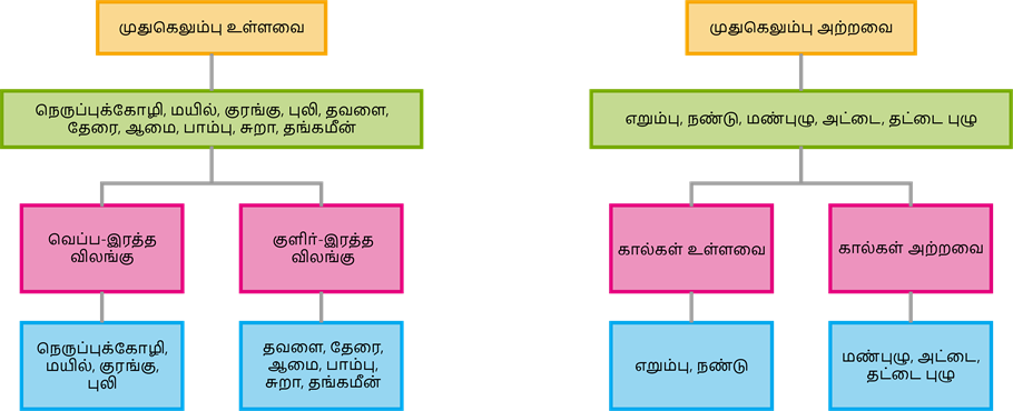 YCIND20220725_4041_Basis of classification_02.png