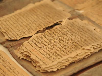 Teo Tarras Shutterstock.jpg