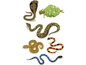 snakes left draft.jpg