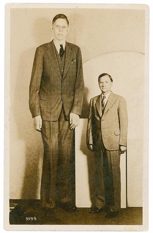 708px-Robert_Wadlow_postcard.jpg