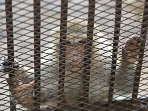 Toto on a big cage.jpg