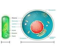 shutterstock1457175311w300 (1).jpg