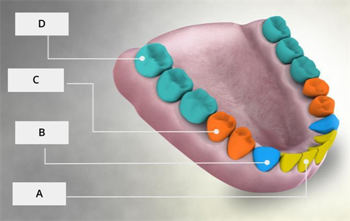 Yet to order - 1 (1).png