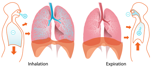 BeFunky-collage (4).png