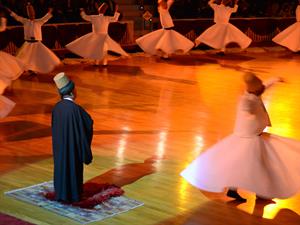 NORTHERN IMAGERY Shutterstock.jpg