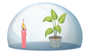 Screenshot 2021-07-26 091901.png