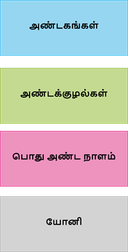 YCIND20220907_4431_Divya - Structural organisation of animals 1_06.png