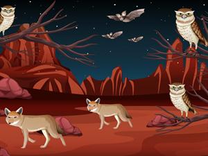 Desert rocks, mountains and animals.jpg