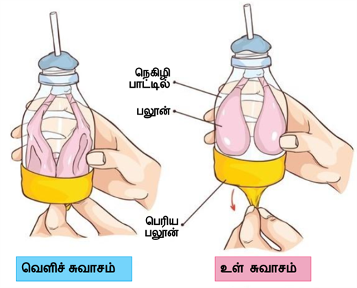 Design - YC IND (13).png