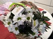 Катерина Бабарыкина