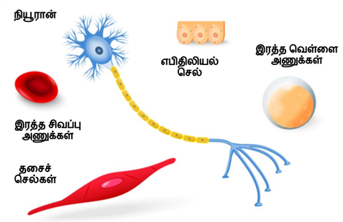 Design - YC IND (5).png