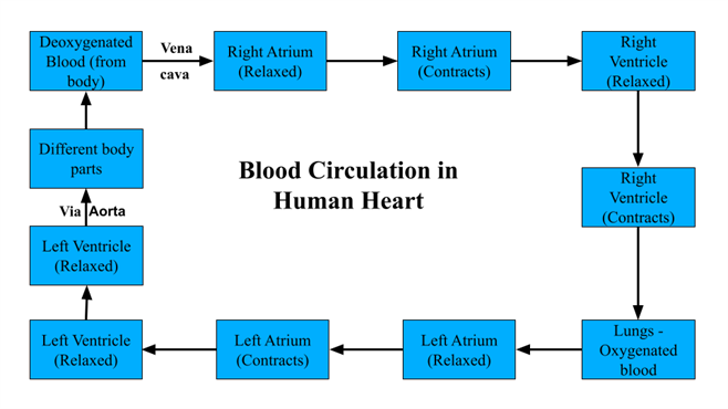 Copy of presentations - Uma (4).png