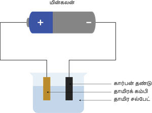 YCIND20220901_4420_Electric charge and current 2_05.png