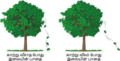 YCIND07062022_3850_Force_and_ motion_3.png