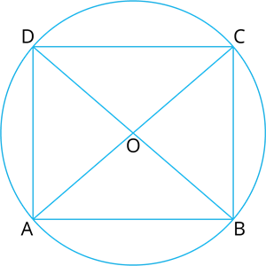 YCIND_240403_6137_Circles_18.png