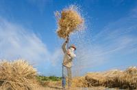 shutterstock_416646403.jpg
