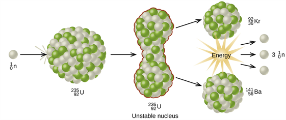 uranium fission.png