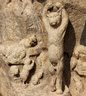 mahabalipuram cat.jpg