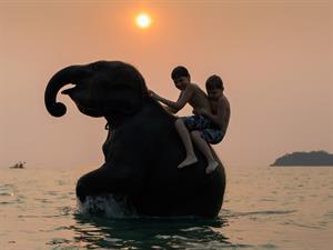 Tony Prince Shutterstock.jpg