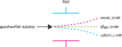 YCIND20220728_4116_Atomic Structure_34.png