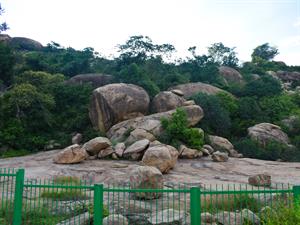 ELAMARAN ELAA PHOTOGRAPHY Shutterstock.jpg