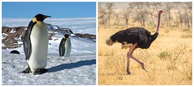 BeFunky-collage - 2022-03-23T223635.704.jpg