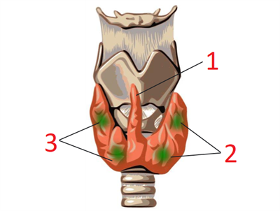 YCEditorialDivya20_withoutlabel.png