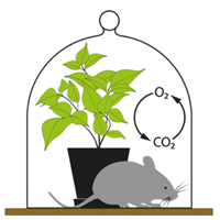 Screenshot 2021-07-26 092043.png