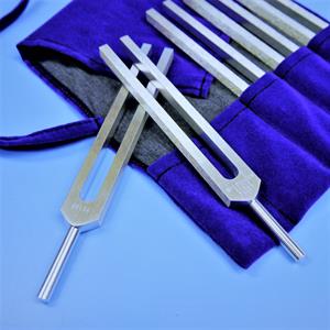 weapon-healing-pouch-tuning-fork-brain-tuner-bio-sonics-1164068-pxhere.com.jpg