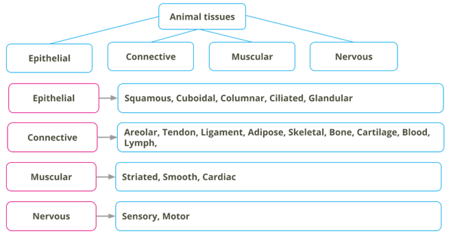 Copy YC Editorial - Drawings for the exercises (2).png