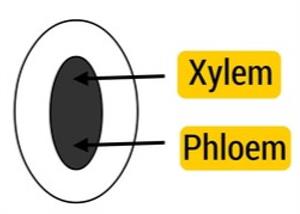 Screenshot 2021-06-05 221823.jpg