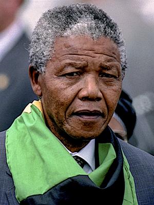 mark reinstein Shutterstock.jpg