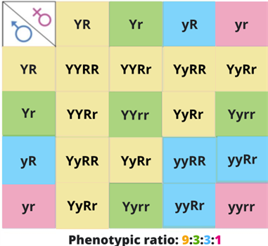 Editorial Designing - Biology Divya (26).png
