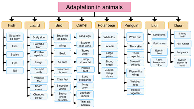 Copy of presentations - Uma (2).png