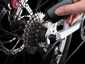 shutterstock_117283822 (1).jpg