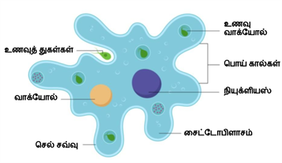 Design - YC IND (2).png