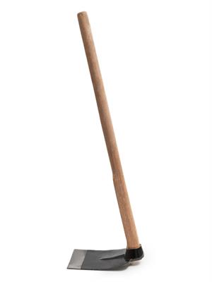 shutterstock_1790997518.jpg